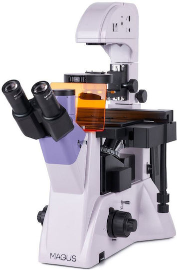 Флуоресцентен тринокулярен инвертиран дигитален микроскоп Magus Lum Vd500 LCD 100-400x оптично увеличение 30 мм диаметър на окулярната тръба халогенно флуоресцентно осветление Magus Chd40 дигитална камера Magus Mcd40 LCD монитор