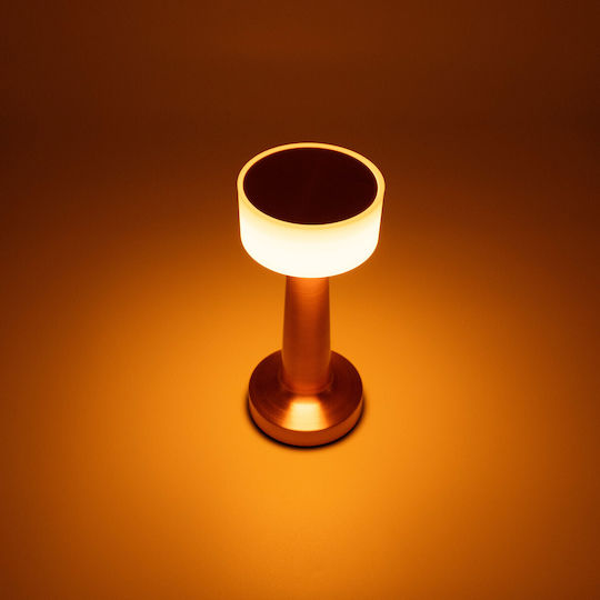 TnS Decorative Lighting LED