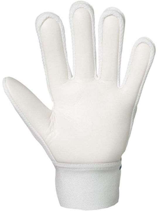 Reusch Reusch Attrakt Starter Solid Jnr Goalkeeper Gloves Kids White