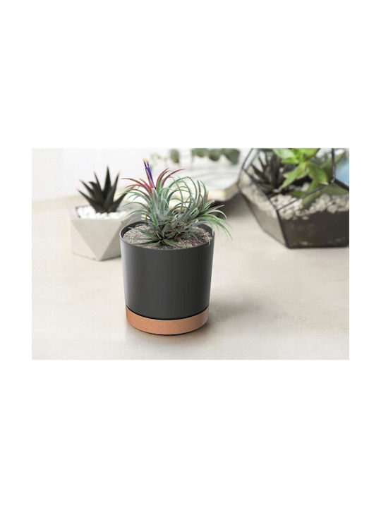 Prosperplast Tubo Pflanzgefäß Kunststoff Anthrazit mit Untersetzer 13x13cm