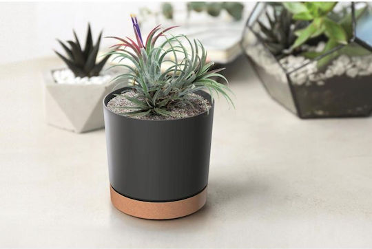 Prosperplast Tubo Plastic Flower Pot Anthracite with Saucer 13x13cm