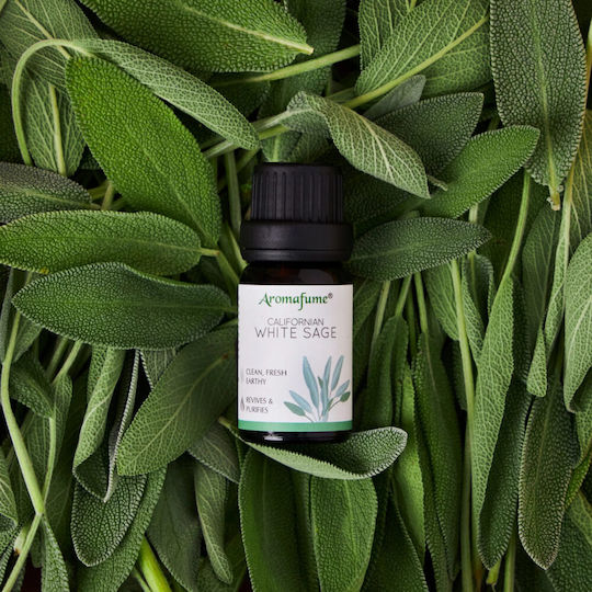 Therapeutic Blend of Essential Oils Sage White Sage Essential Oil Blend 10ml