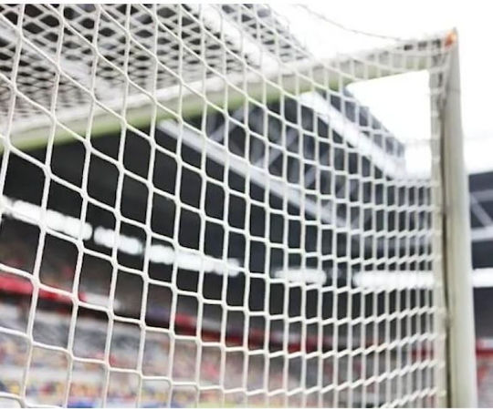 Yakimasport Soccer Net 732x244cm