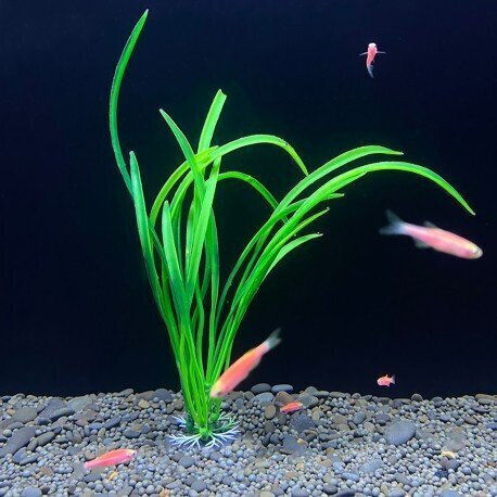 Aqua Natura Decorațiune Pentru Acvariu Plantă Artificială Verde Plastic Iarbă Panglică 18 Cm