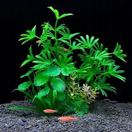 Aqua Natura Decorațiune Acvariu Plantă Plastic Verde 20 Cm Ferigă Lăstari Tineri