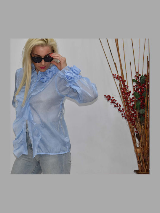 New Collection