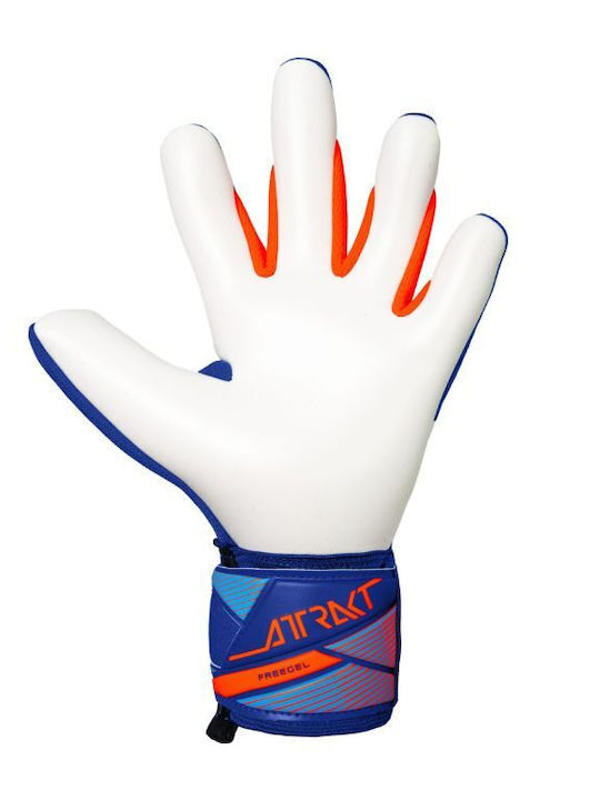 Reusch Attrakt Freegel Γάντια Τερματοφύλακα Ενηλίκων Μπλε