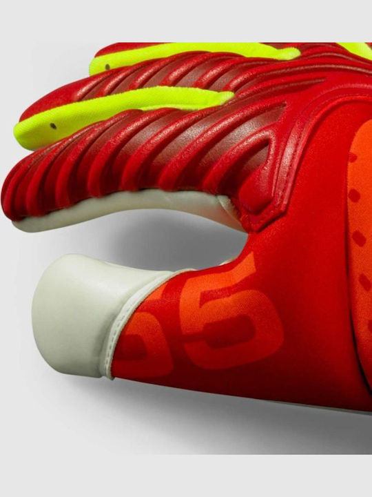 Select Sport Mănuși de Portar pentru Adulți Bej