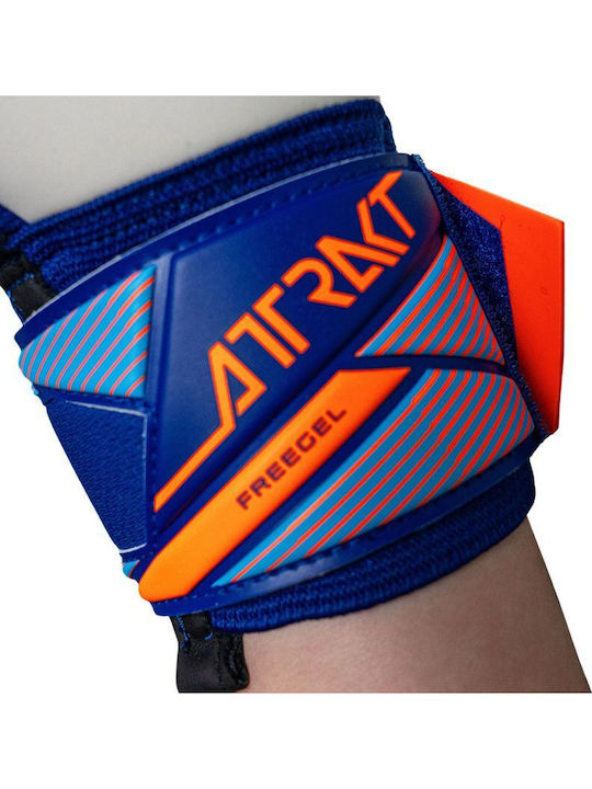Reusch Attrakt Freegel Γάντια Τερματοφύλακα Ενηλίκων Μπλε