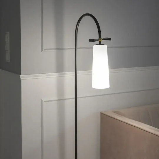 COSMOLight Floor Lamp Black