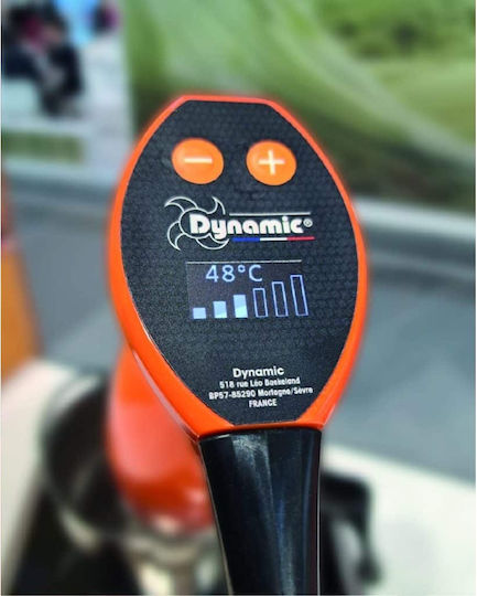 Dynamic Commercial Hand Blender with Power 250W