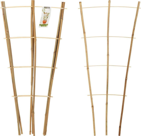 Progarden Plant Support Stands 75cm From Bamboo Set 3 Pieces