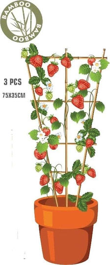 Progarden Plant Support Stands 75cm From Bamboo Set 3 Pieces
