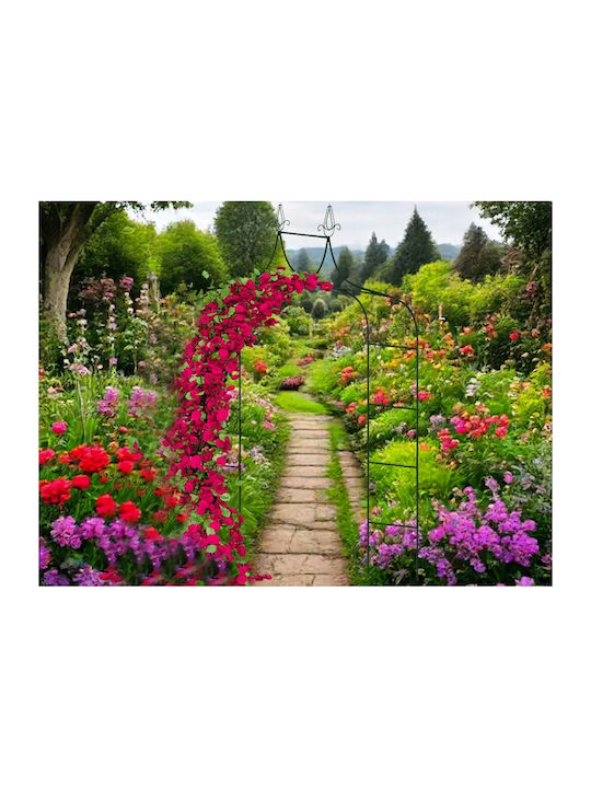 Garden Arch from Metal in Bronze Colour 135x38x245cm