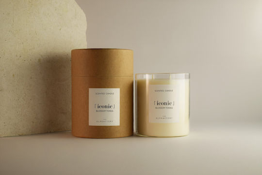 Blossom Tonka Herbal Aromatic Candle With Lid 790gr Iconic Olphactory