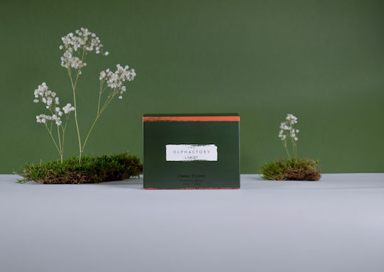 Champs Elysees Einfarbiges Pflanzliches Aromatisches Kerze 320gr Handgemachtes Gefäß Olphactory