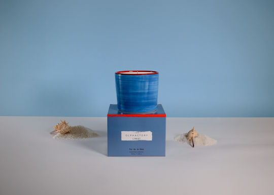 Sel De La Baie Einfarbiges Pflanzliches Aromatisches Kerze 320gr Handgefertigtes Gefäß Olphactory