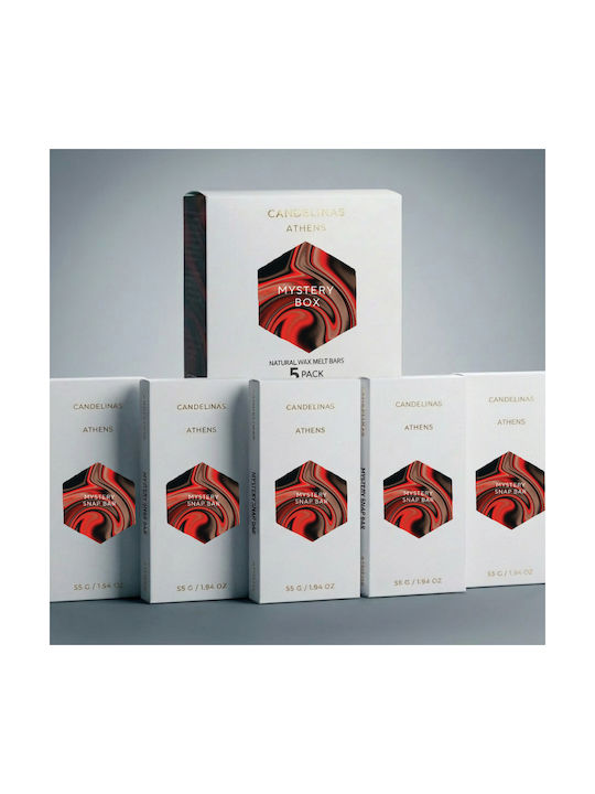 Candelinas Mystery 5 Bar Box Wax Melt Snap Bar 55g Herbal Home Fragrance Candle
