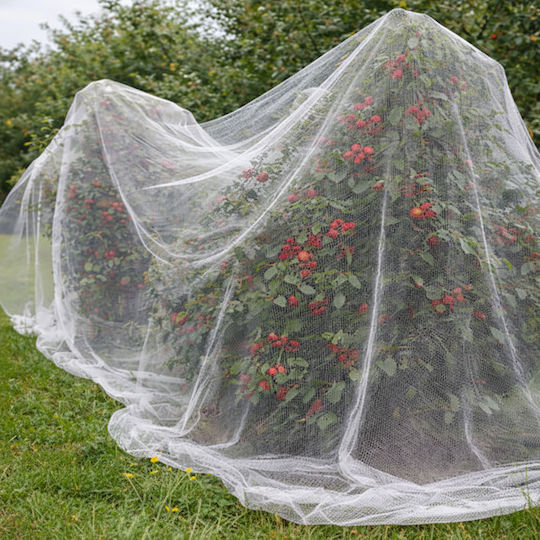 Plasă De Protecție Pentru Grădină Împotriva Insectelor Păsărilor Zola 3 X 6 M Hdpe 80 Plasă Albă