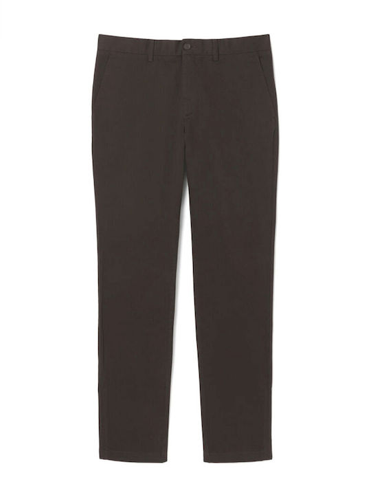 Chino Trousers Brown
