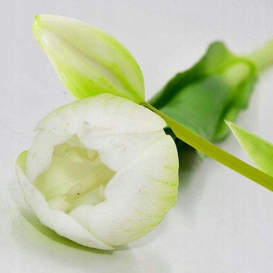 Blumenstrauß aus Tulpe Weiß 39cm Saska Garden