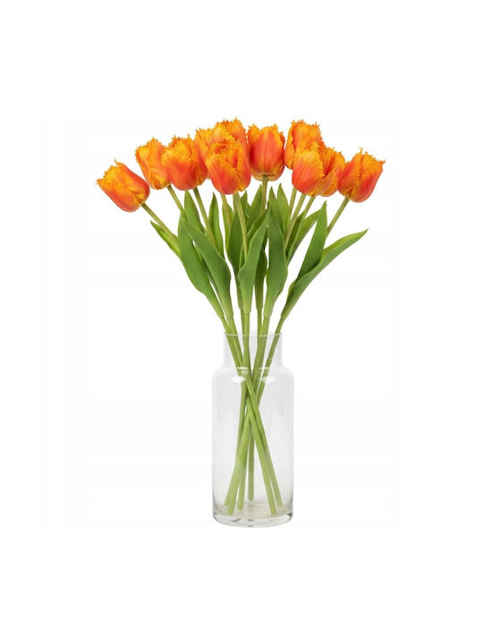 Orange Tulip Saska Garden