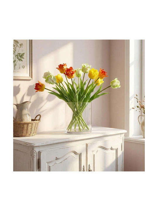 White Tulip Saska Garden