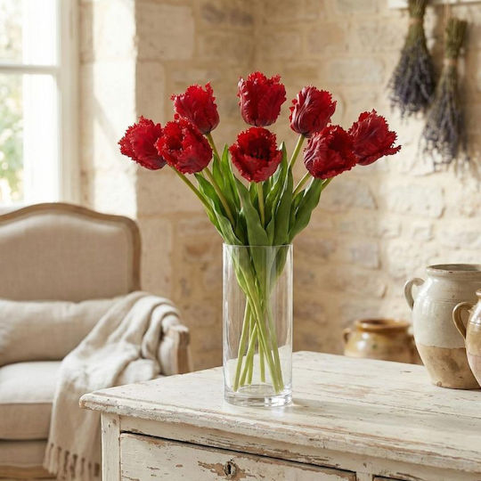 Tulpe Rote Saska Garden