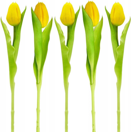 Gelbe Tulpe 31cm Saska Garden