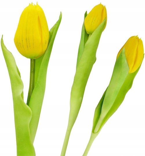 Gelbe Tulpe 31cm Saska Garden