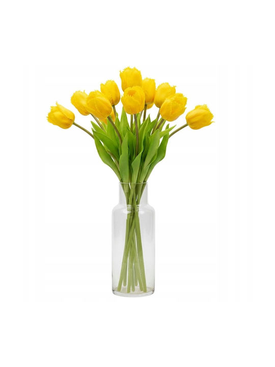 Yellow Tulip Saska Garden