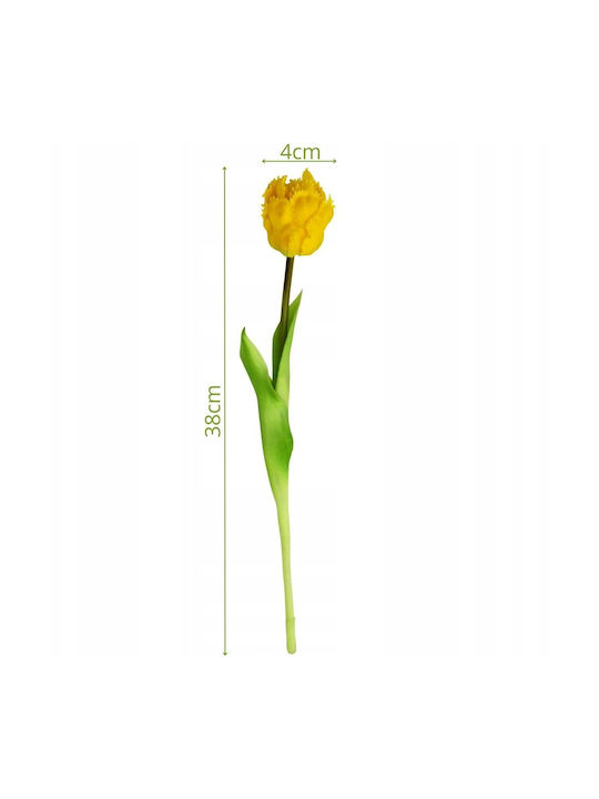 Yellow Tulip Saska Garden