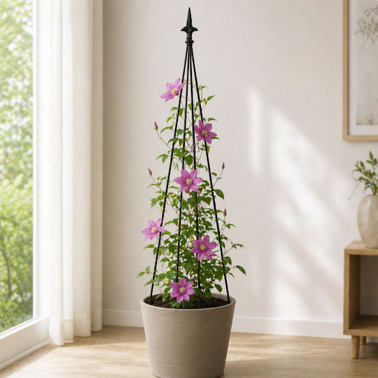 Suport Metalic Pentru Flori Cățărare Plantă Zola Oțel 150 Cm Negru