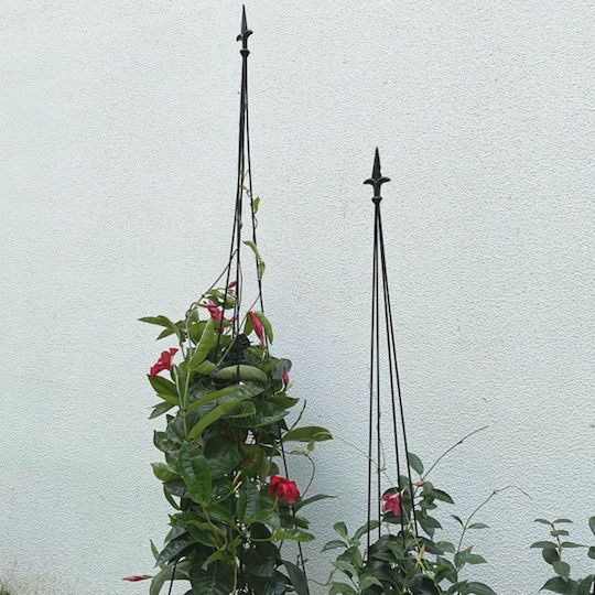 Suport Metalic Pentru Flori Cățărare Plantă Zola Oțel 150 Cm Negru