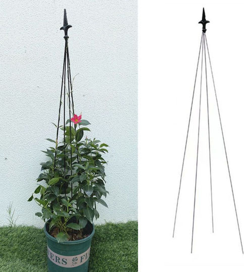 Suport Metalic Pentru Flori Cățărare Plantă Zola Oțel 150 Cm Negru