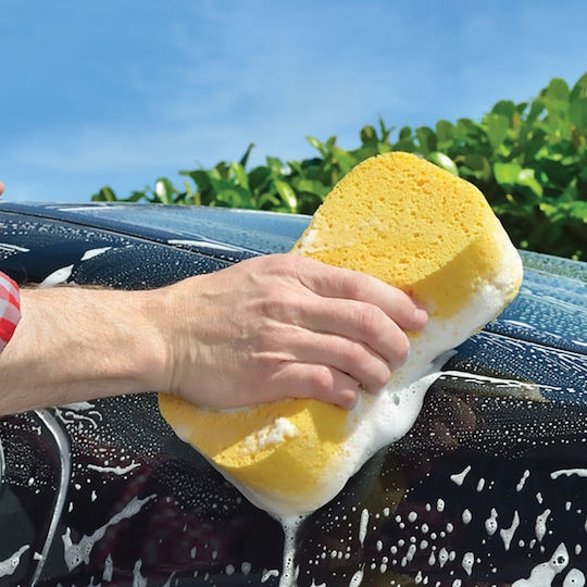 Boat Washing Sponge
