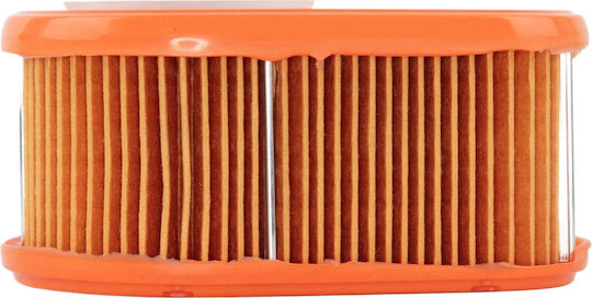 Genuine Briggs Stratton Air Filter 1006-1008 792038