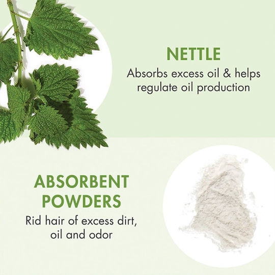 Klorane Nettle Ξηρό Σαμπουάν Όγκου για Λιπαρά Μαλλιά 150ml