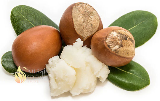 Faith in Nature Coconut & Shea Butter Στέρεο Σαμπουάν Ενυδάτωσης & Λάμψης για Κανονικά Μαλλιά 85gr