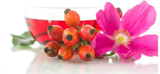Urtekram Soft Wild Rose Shampoos Glanz für Gefärbt Haare 500ml