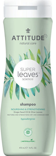 Attitude Super Leaves Natural Σαμπουάν Κατά της Τριχόπτωσης για Ευαίσθητο Τριχωτό για Όλους τους Τύπους Μαλλιών 473ml