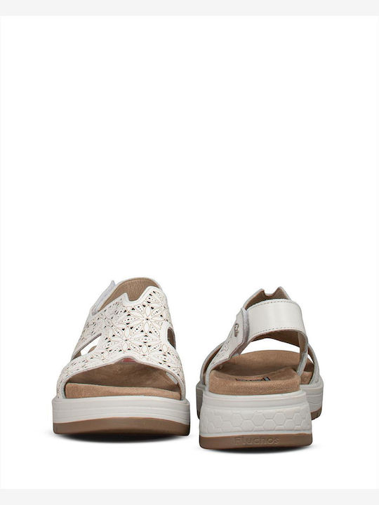 Fluchos