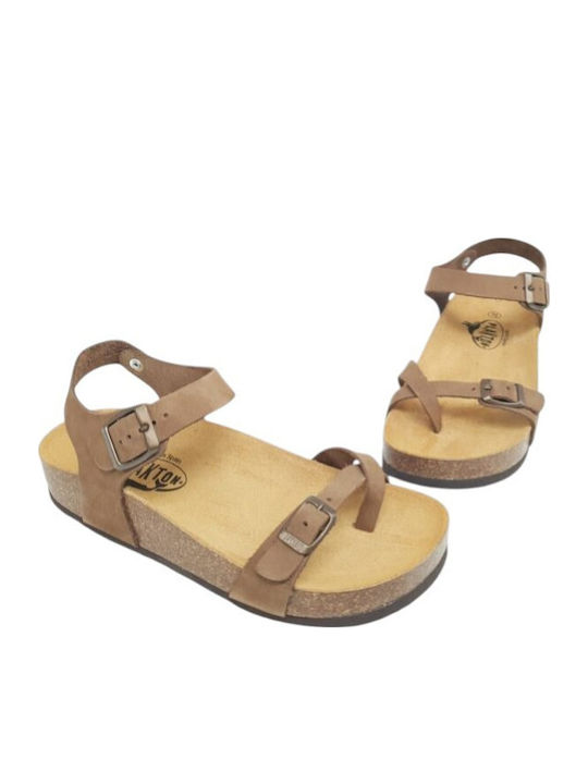 Leather Women's Anatomic Brown Sandals