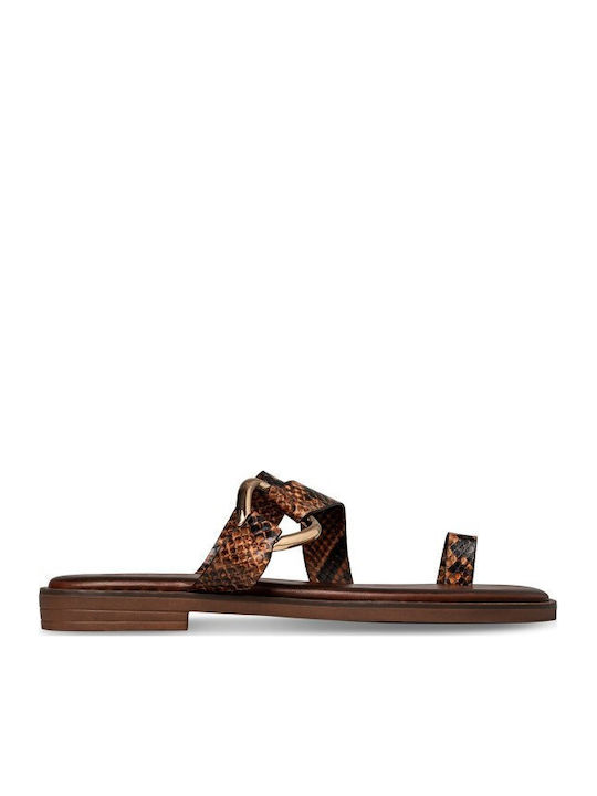 Envie Shoes
