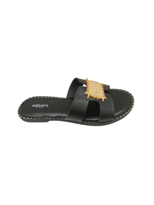 Adam's Shoes