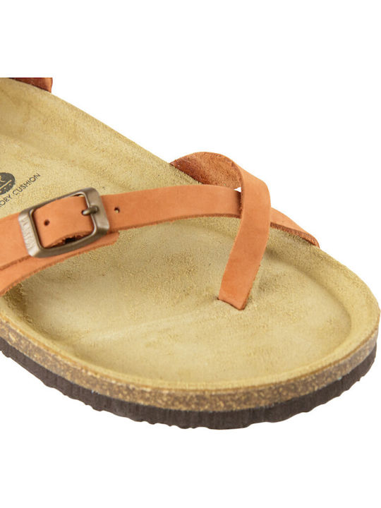 Leather Women's Flat Sandals Anatomic with Strap Aragosta