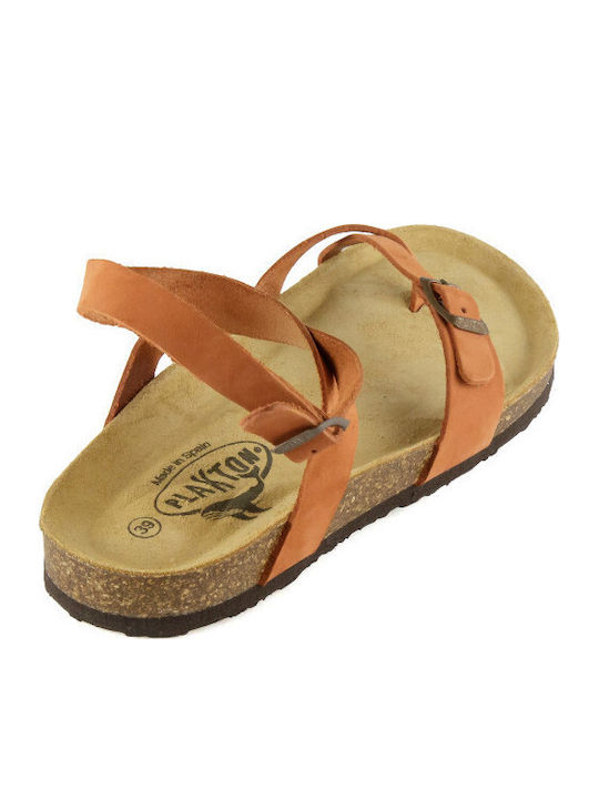 Leather Women's Flat Sandals Anatomic with Strap Aragosta