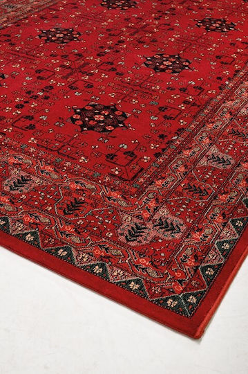 Viokarpet Kayam 4302 Viokarpet Kayam 4302