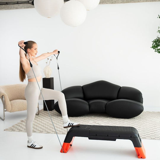 HMS Aerobic Stepper