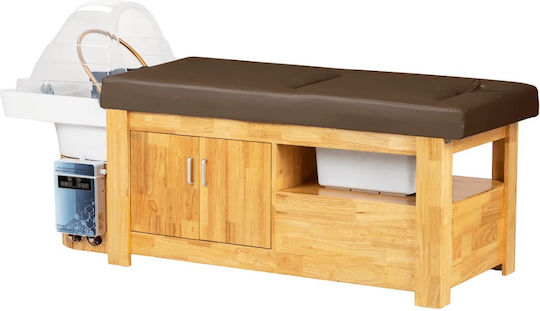 Brown Wooden Physiotherapy Bed 0154392